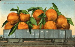 A Carload Of Navel Oranges Postcard
