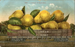 A Carload Of Pears Fruit Postcard Postcard