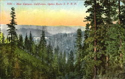 Blue Canyon, St. James Cache Deal Seattle Washington Postcard