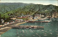 Pleasure Pier Santa Catalina Island, CA Postcard Postcard