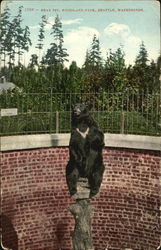 Bear Pit, Woodland Park Postcard