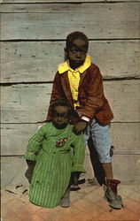 Dixie Blossoms Postcard