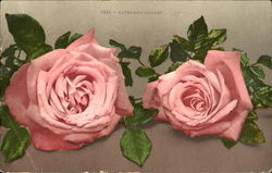 Katherine Mermet Postcard