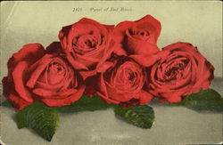 Panel Of Red Roses Postcard