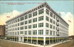 Hamburger Department Store Postcard
