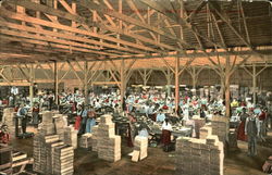Fig Industry Postcard