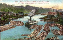 Willamette Falls And Mills Postcard