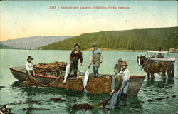 Seining For Salmon Columbia River Oregon Postcard Postcard