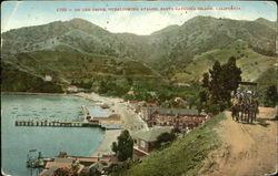 On The Drive Overlooking Avalon Santa Catalina Island, CA Postcard Postcard