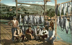 A Catch Of Albacore Santa Catalina Island, CA Postcard Postcard