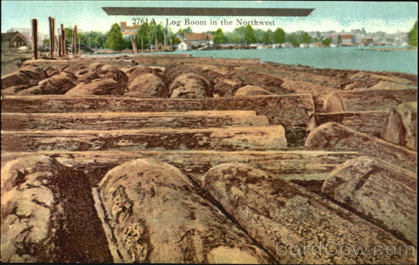 Log Boom In The Northwest Logging