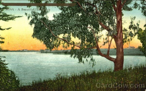 A Beautiful Lake Scene Scenic