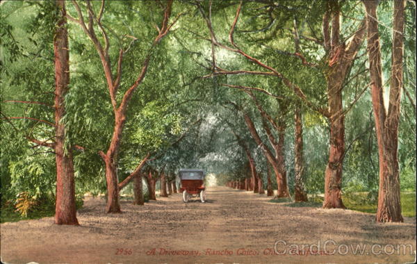 A Driveway, Rancho Chico California