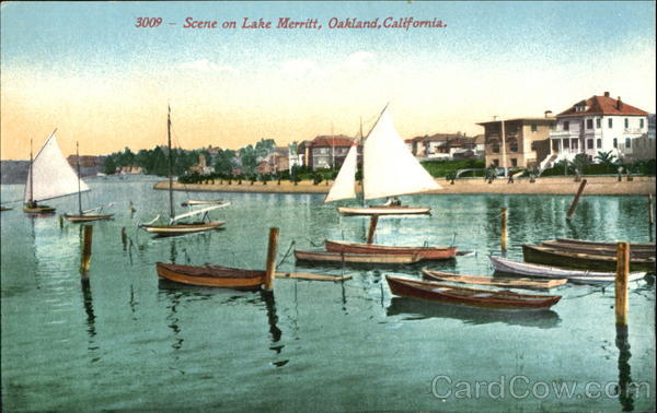 Scene On Lake Merritt Oakland California