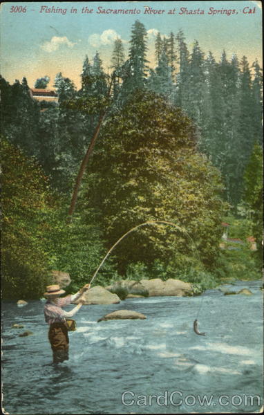 Fishing In The Sacramento River Shasta Springs California