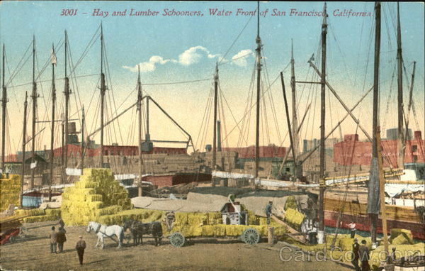 Hay And Lumber Schooners San Francisco California