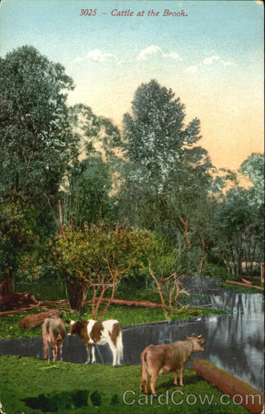 Cattle At The Brook Cows & Cattle