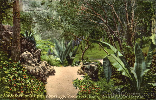 Path At Sulphur Springs, Piedinont Park Oakland California