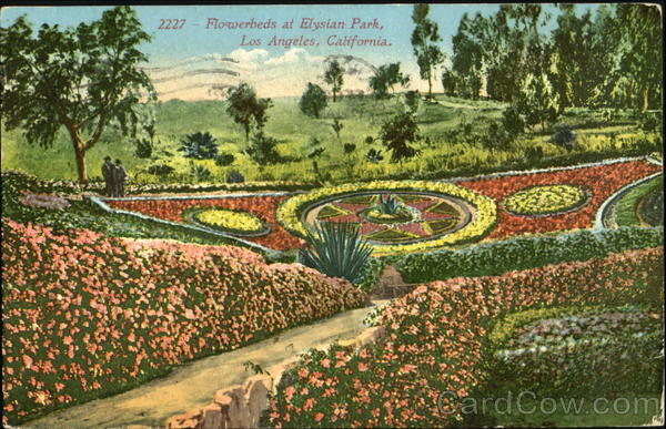Flowerbeds At Blysian Park Los Angeles California