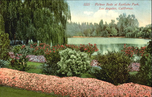Flower Beds At Eastlake Park Los Angeles California