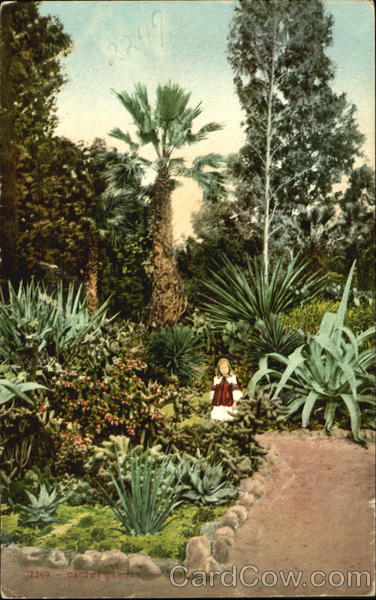 Cactus Garden With Children