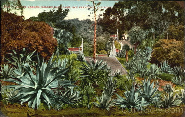 Cactus Garden, Golden Gate Park San Francisco California