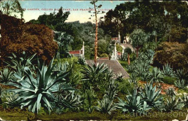 Cactus Garden, Golden Gate Park San Francisco California