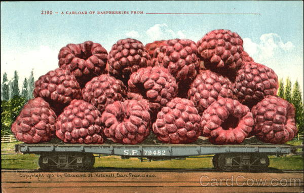 A Carload Of Raspberries Exaggeration