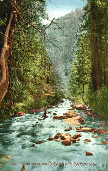 Bubbs Creek California