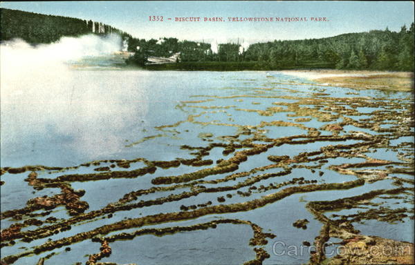 Biscuit Basin, Yellowstone National Park