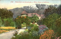 Flowerbeds And Snowbanks A Winter Scene In California Postcard