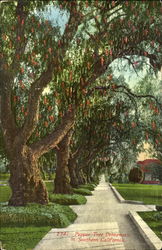 Stock #188242 Thumbnail