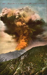Forest Fire In The Mountains Postcard