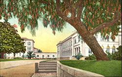 College Of The Holy Names, Lake Merritt Postcard