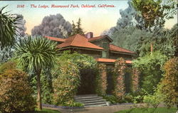 The Lodge, Mosswood Park Postcard