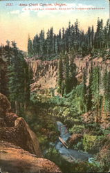 Anna Creek Canyon Scenic, OR Postcard Postcard