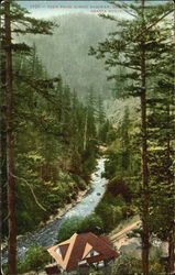 View From Scenic Railway Postcard