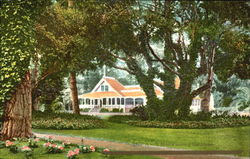 A House Among The Oaks Scenic, CA Postcard Postcard