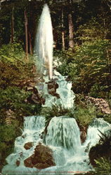 Crystal Falls Shasta Springs, CA Postcard Postcard