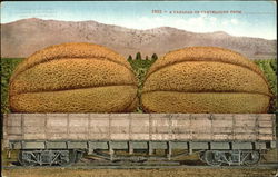 A Carload Of Canteloupe Postcard