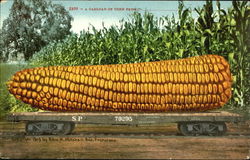 A Carload Of Corn Postcard