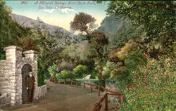 A Mineral Spring, Alum Rock Park Postcard