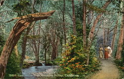 Lost Arrow Trail Postcard