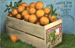 I Am Sending You A Box Of Oranges From California Postcard
