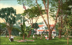 McKinley Park Alameda, CA Postcard Postcard