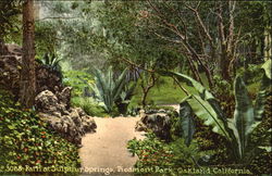 Path At Sulphur Springs, Piedinont Park Postcard