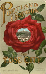 Portland Rose Postcard