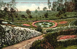 Flowerbeds At Blysian Park Postcard
