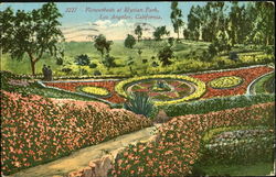 Flowerbeds At Blysian Park Postcard