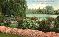 Flower Beds At Eastlake Park Los Angeles, CA Postcard Postcard